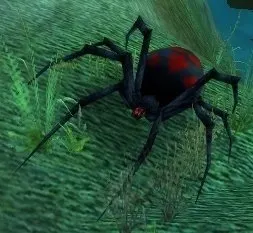 Black Widow Hatchling — screenshot 2
