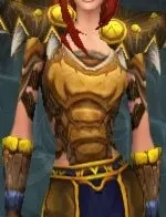 Grom'tor's Friend's Cousin's Tunic — screenshot 1
