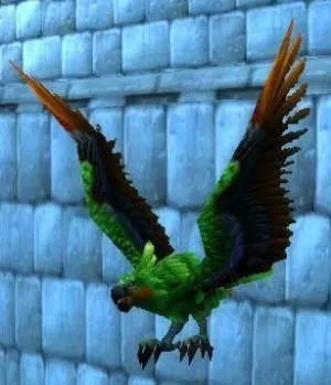 Parrot Cage (Senegal) — screenshot 1