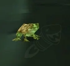 Wood Frog — screenshot 1