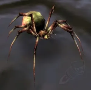 Spider — screenshot 2