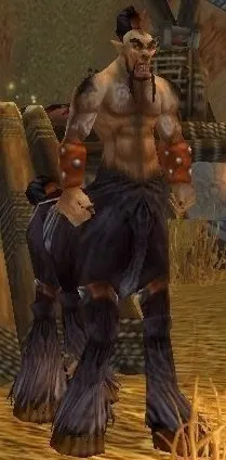 Verog the Dervish — screenshot 2