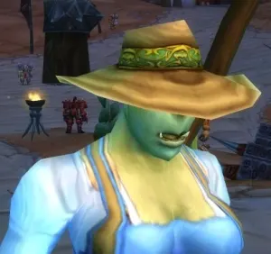 Ranger Hat — screenshot 1