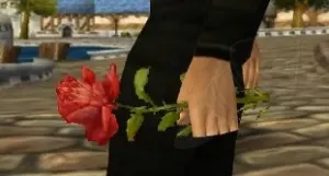 Red Rose — screenshot 2