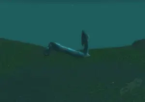 Half Pendant of Aquatic Endurance — screenshot 1