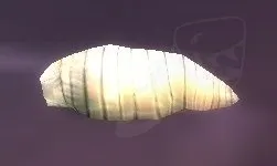 Maggot — screenshot 2