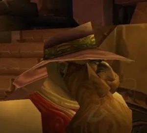 Embroidered Hat — screenshot 2