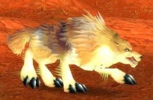 Elder Crag Coyote — screenshot 1
