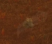 Human Skull — screenshot 1