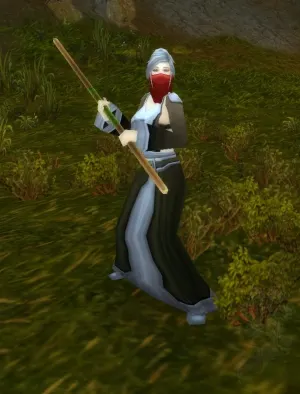 Defias Rogue Wizard — screenshot 1