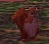 Squirrel — screenshot 1