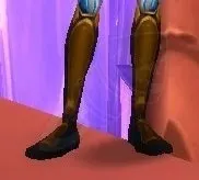 Veteran's Silk Footguards — screenshot 1