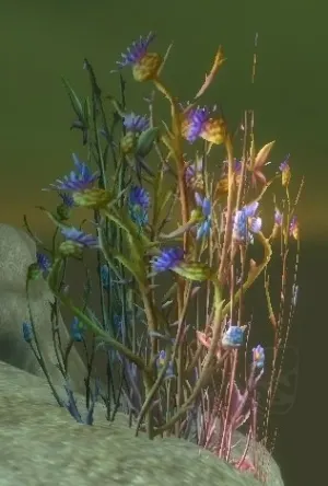 Bruiseweed — screenshot 2