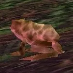 Toad — screenshot 3