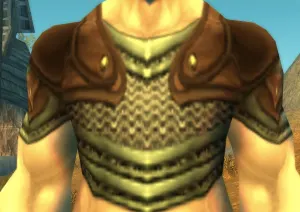Veteran Armor — screenshot 1