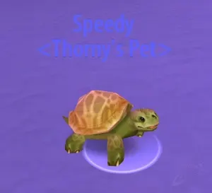 Turtle Box — screenshot 2