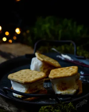 Toasted Smorc — screenshot 1