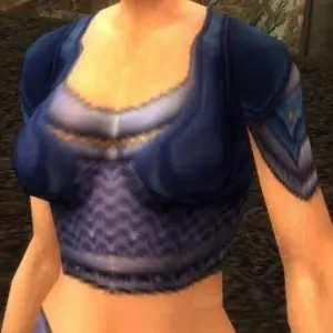 Corroded Mail Armor — screenshot 1