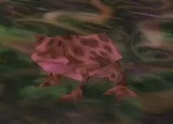 Toad — screenshot 1