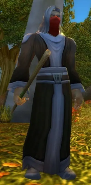 Defias Rogue Wizard — screenshot 2