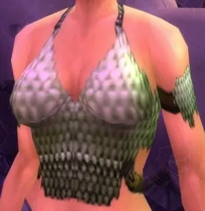 Warp-Shielded Hauberk — screenshot 1