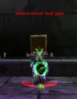 Shadow Hunter Vosh'gajin — screenshot 2