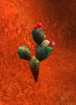 Плод кактуса — скриншот 1