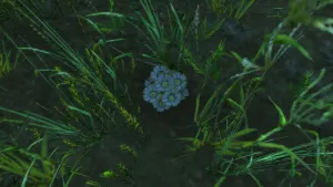 Tear of Tilloa — screenshot 2