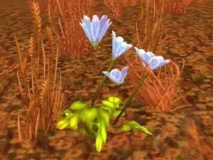 Peacebloom — screenshot 1