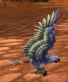 Cockatiel — screenshot 2