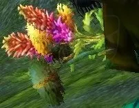Beautiful Wildflowers — screenshot 1