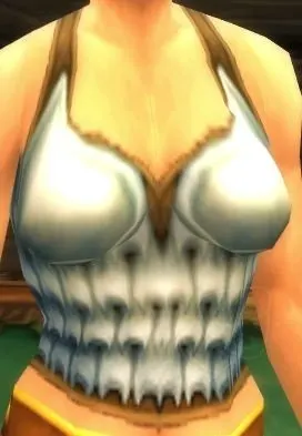 Crusader's Armor — screenshot 1