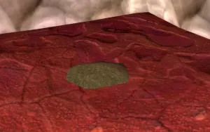 Fei Fei's Cache — screenshot 1
