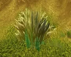 Telaari Frond — screenshot 1