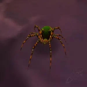 Spider — screenshot 1