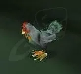 Ancona Chicken — screenshot 2