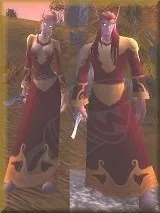 Blood Elf Surveyor — screenshot 2