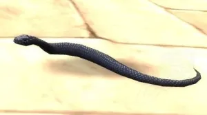 Black Kingsnake — screenshot 1