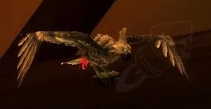 Cockatiel — screenshot 1