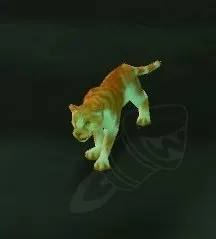 Кошачья клетка (корниш-рекс) — скриншот 3