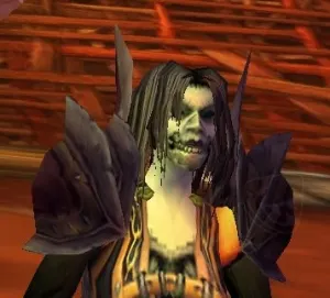 Champion's Leather Mantle — screenshot 1