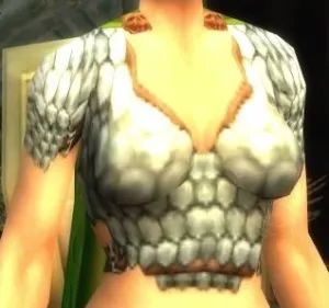 Explorer's Vest — screenshot 1
