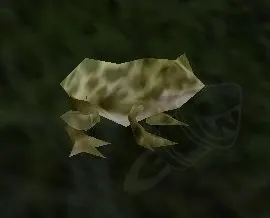 Forest Frog — screenshot 1