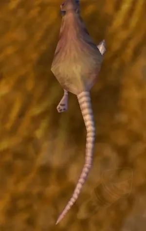 Mouse — screenshot 1