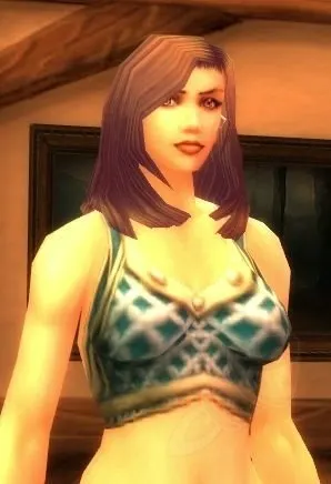 Double Mail Vest — screenshot 1