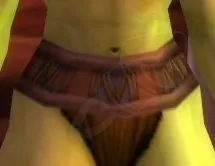 Worn Leather Belt — screenshot 1