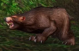 Ashenvale Bear — screenshot 2