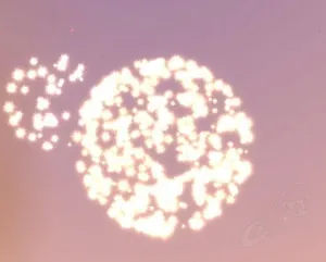 Midsummer Ground Flower — screenshot 1