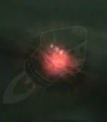 Spirit of Summer — screenshot 2