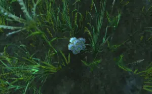 Tear of Tilloa — screenshot 1